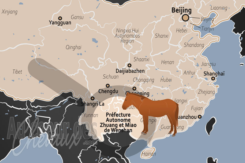 La localisation de la Pr�fecture Autonome Zhuang et Miao de Wenshan en Chine