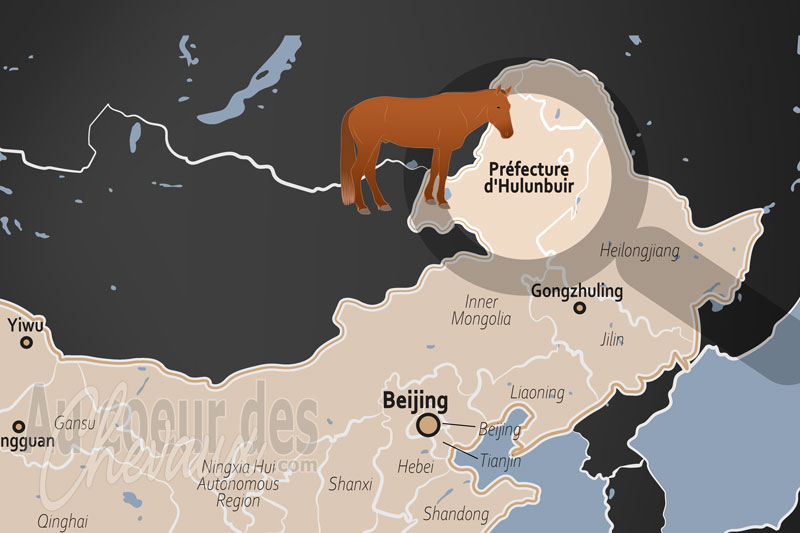 La localisation de la Pr�fecture d'Hulunbuir en Chine