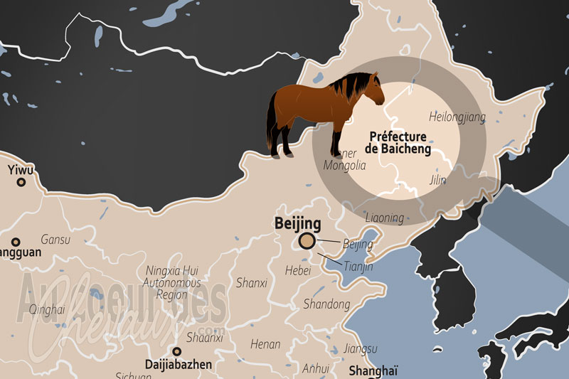 La localisation de la Pr�fecture de Baicheng en Chine