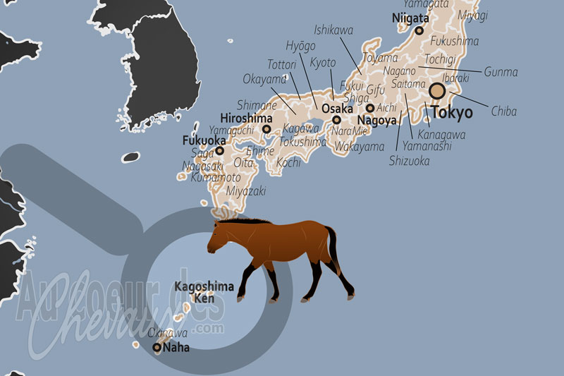 La localisation de la Pr�fecture de Kagoshima au Japon