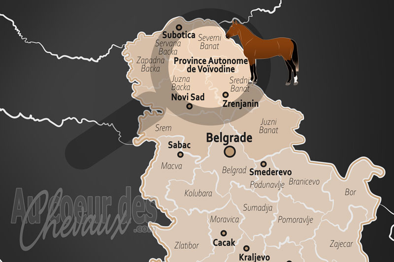 La localisation de la Province Autonome de Vo�vodine en Serbie