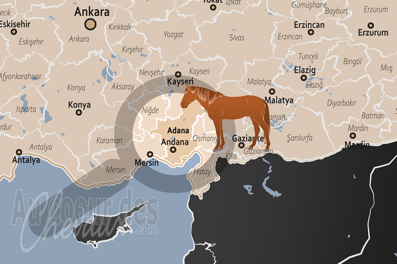 La localisation de la Province d'Adana en Turquie