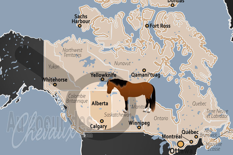 La localisation de la Province d'Alberta au Canada