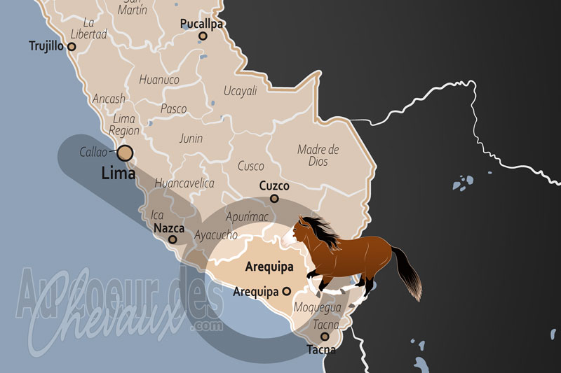 La localisation de la Province d'Arequipa au P�rou