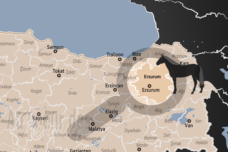 La localisation de la Province d'Erzurum en Turquie