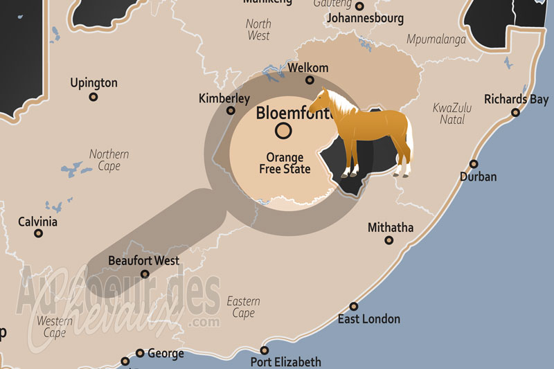 La localisation de la Province d'�tat Libre en Afrique du Sud