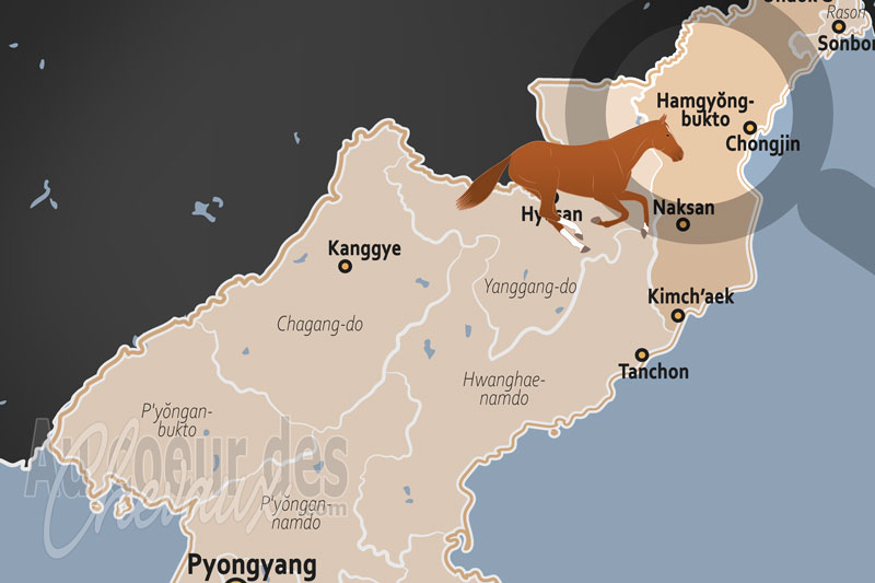 La localisation de la Province d'Hamgyong du Nord en Cor�e du Nord