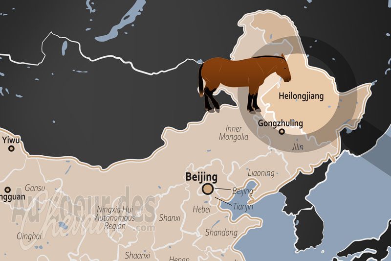 La localisation de la Province d'Heilongjiang en Chine