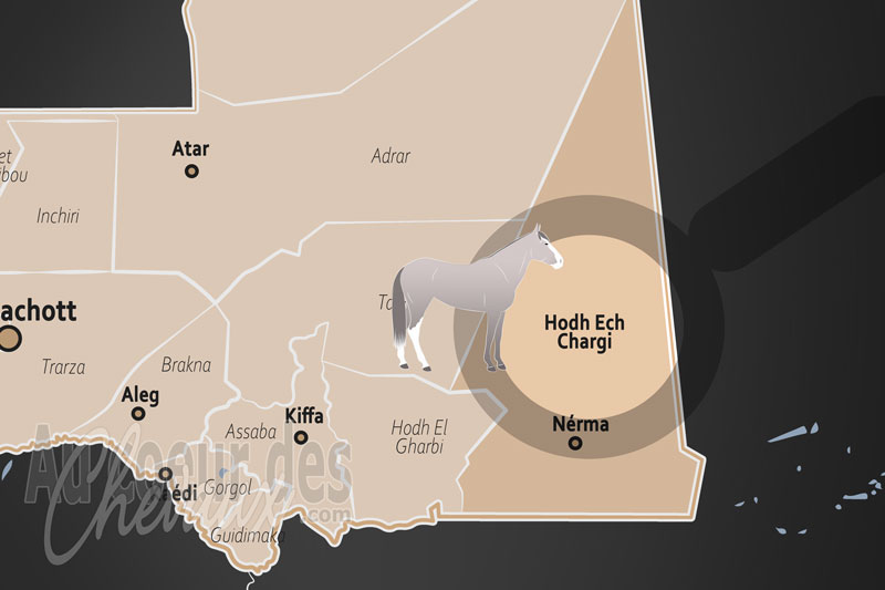 La localisation de la Province d'Hodh Ech Chargui en Mauritanie