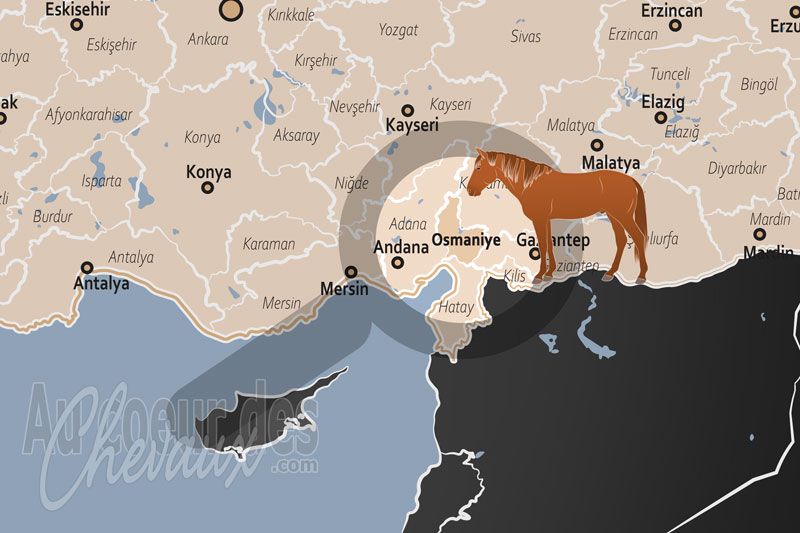 La localisation de la Province d'Osmaniye en Turquie