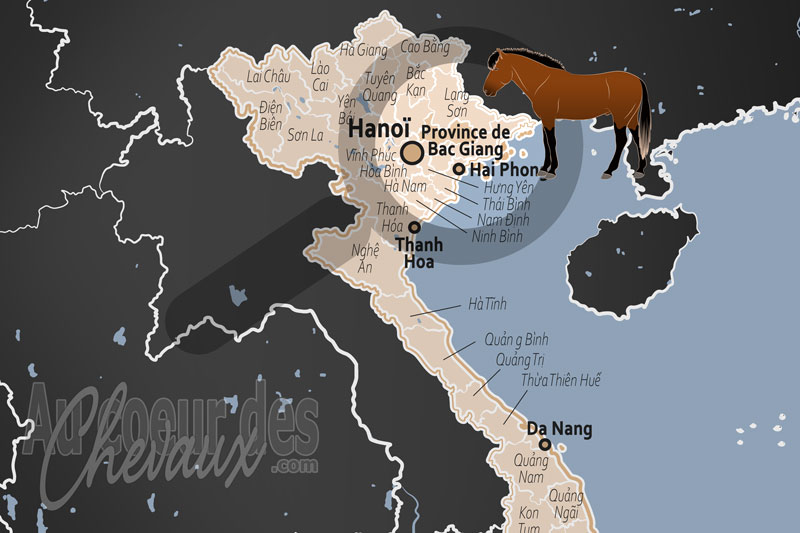 La localisation de la Province de Bac Giang au Vi�t Nam