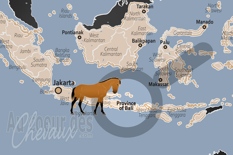 La localisation de la Province de Bali en Indon�sie