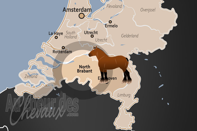 La localisation de la Province de Brabant Septentrional aux Pays Bas