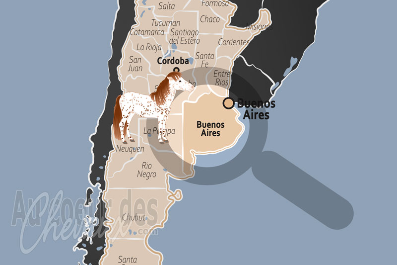 La Province de Buenos Aires, �picentre mondial de l'excellence �questre et de la tradition pampa