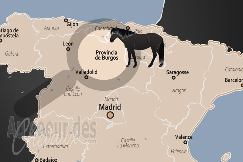 La localisation de la Province de Burgos en Espagne