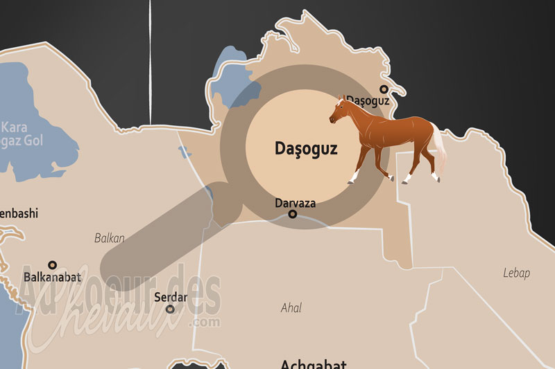 La localisation de la Province de Dasoguz au Turkm�nistan