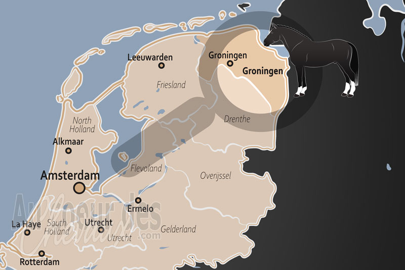 La localisation de la Province de Groningue aux Pays Bas
