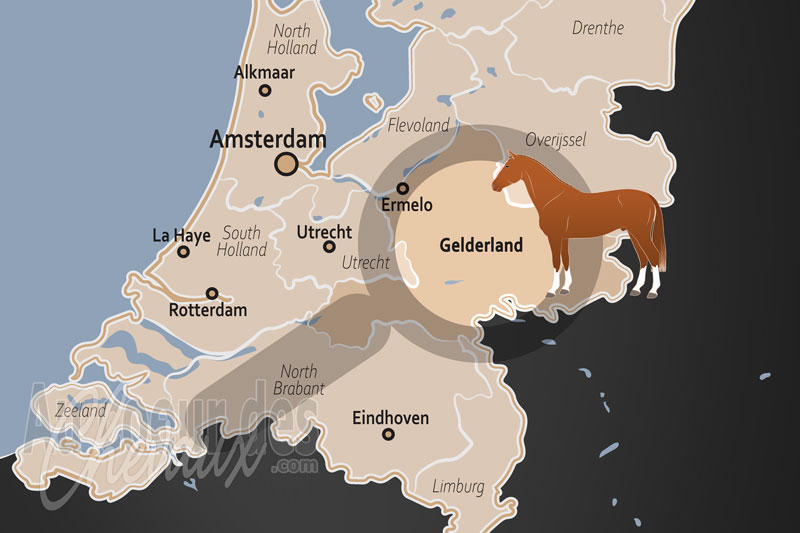 La localisation de la Province de Gueldre aux Pays Bas