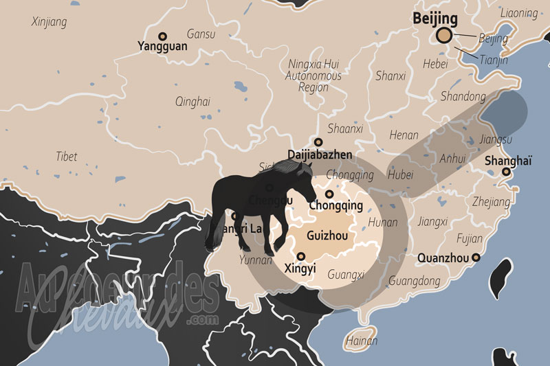 La localisation de la Province de Guizhou en Chine