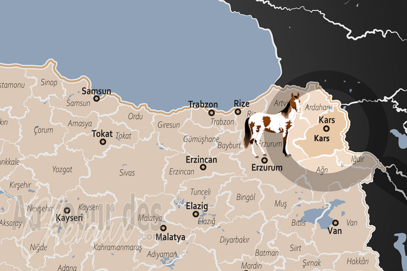 La localisation de la Province de Kars en Turquie