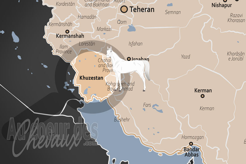 La Province de Khouzistan, berceau mill�naire du cheval arabe asil