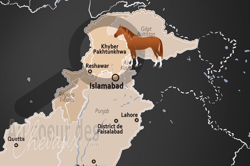 La Province de Khyber Pakhtunkhwa, traditions guerri�res et �quid�s des cols de l'hindou kouch