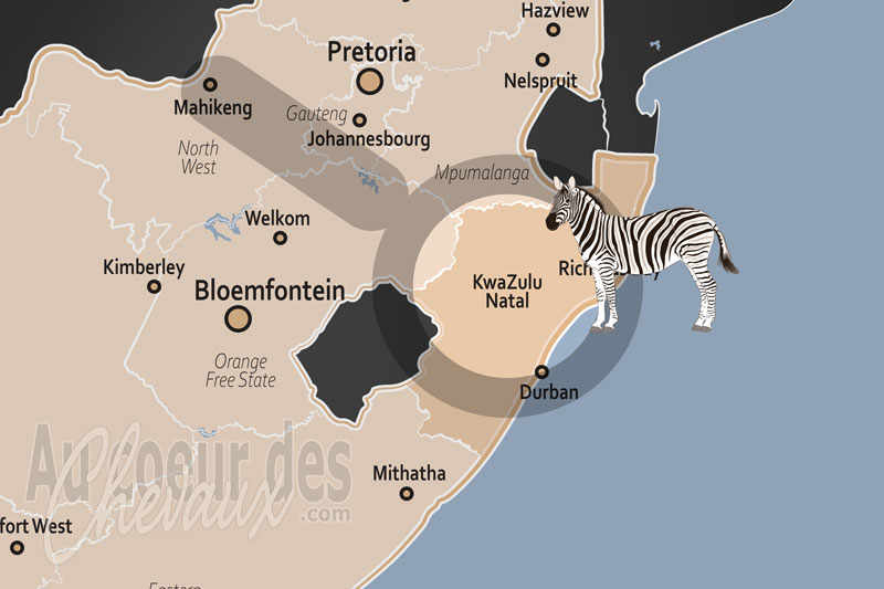 La Province de KwaZulu Natal, entre l'�lite hippique et l'h�ritage rural