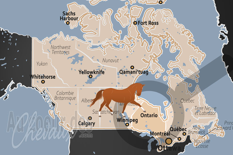 La localisation de la Province de l'Ontario au Canada