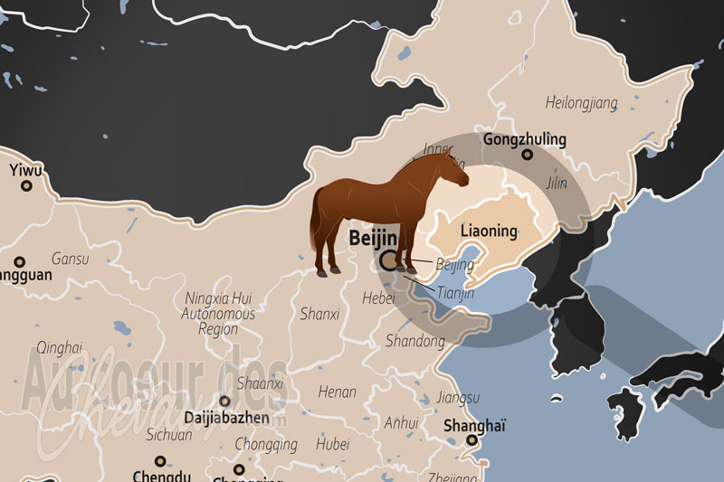 La localisation de la Province de Liaoning en Chine
