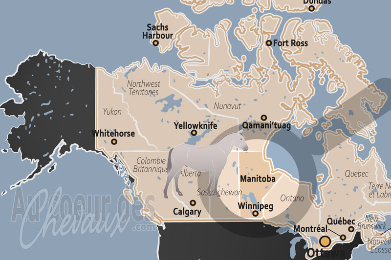 La localisation de la Province de Manitoba au Canada