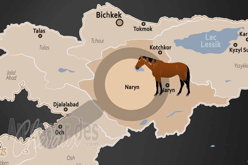 La localisation de la Province de Naryn au Kirghizistan