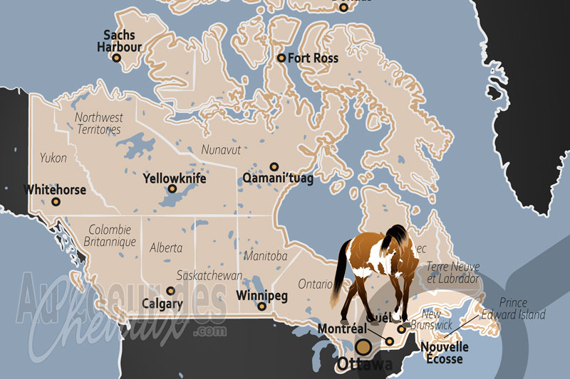 La localisation de la Province de Nouvelle �cosse au Canada