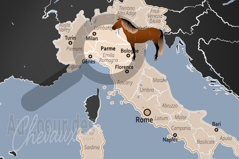 La localisation de la Province de Parme en Italie