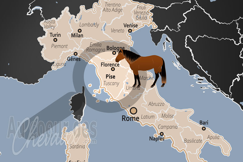 La localisation de la Province de Pise en Italie