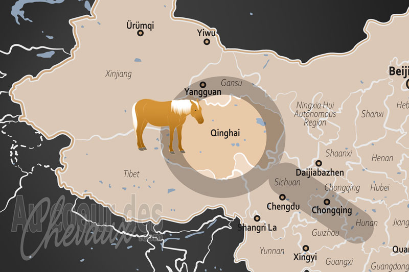 La Province de Qinghai, l'�quid� du toit du monde et l'h�ritage des steppes tib�taines