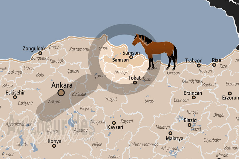 La localisation de la Province de Samsun en Turquie