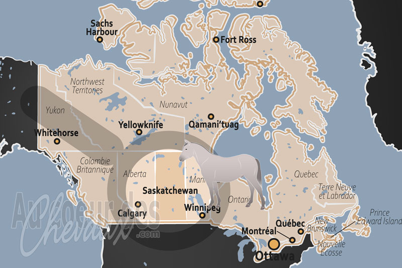 La localisation de la Province de Saskatchewan au Canada