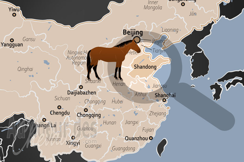 La localisation de la Province de Shandong en Chine