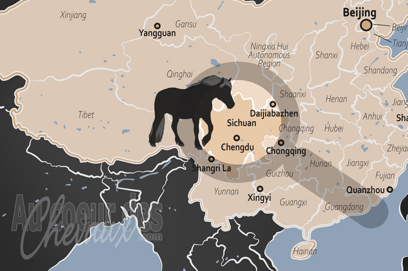 La Province de Sichuan, pivot de la route du th� et des chevaux et sanctuaire des hautes altitudes