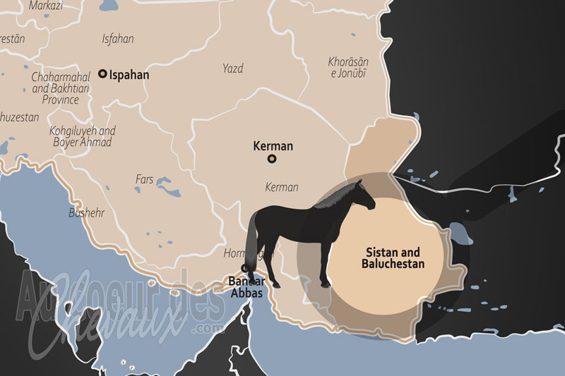 La localisation de la Province de Sistan et Baloutchistan en Iran