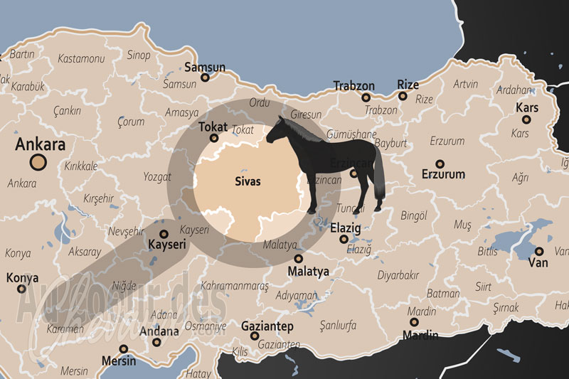La localisation de la Province de Sivas en Turquie