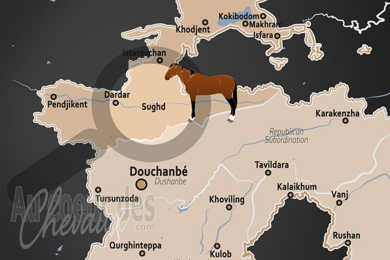 La Province de Sughd, h�riti�re des chevaux c�lestes et c?ur de la culture �questre centrasiatique