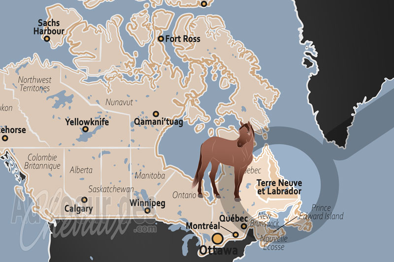 La localisation de la Province de Terre Neuve et Labrador au Canada