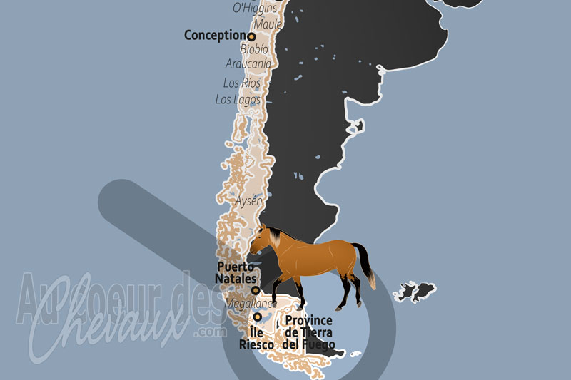 La localisation de la Province de Tierra del Fuego au Chili