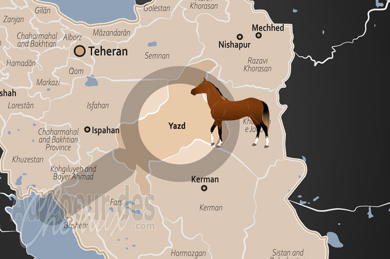 La localisation de la Province de Yazd en Iran