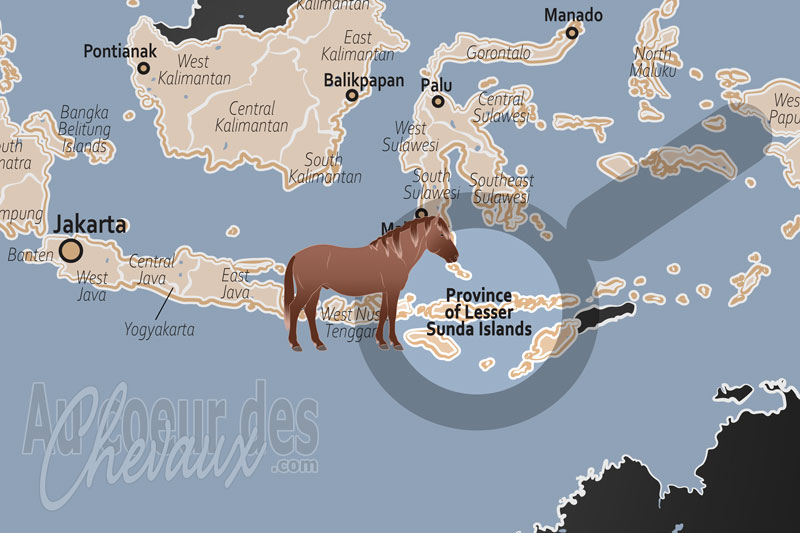 La localisation de la Province des Petites �les de la Sonde Orientales en Indon�sie