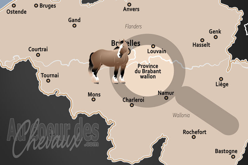 La localisation de la Province du Brabant wallon en Belgique