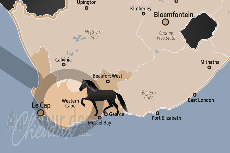 La Province du Cap Occidental, �picentre de l'�l�gance �questre et du sport de haut niveau