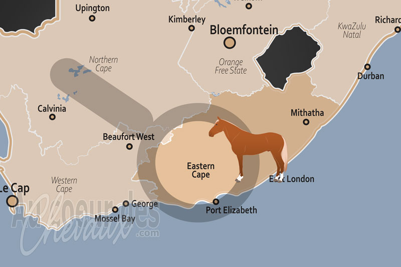 La Province du Cap Oriental, terre d'histoire, de polo et de traditions rurales