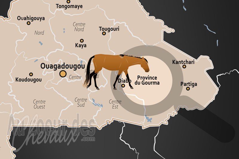 La localisation de la Province du Gourma au Burkina Faso